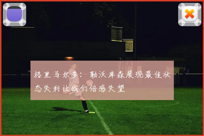 格里马尔多：勒沃库森展现最佳状态失利让我们倍感失望