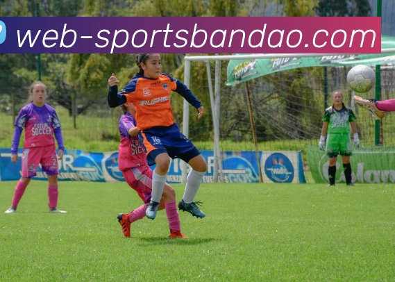 半岛体育APP 封面图